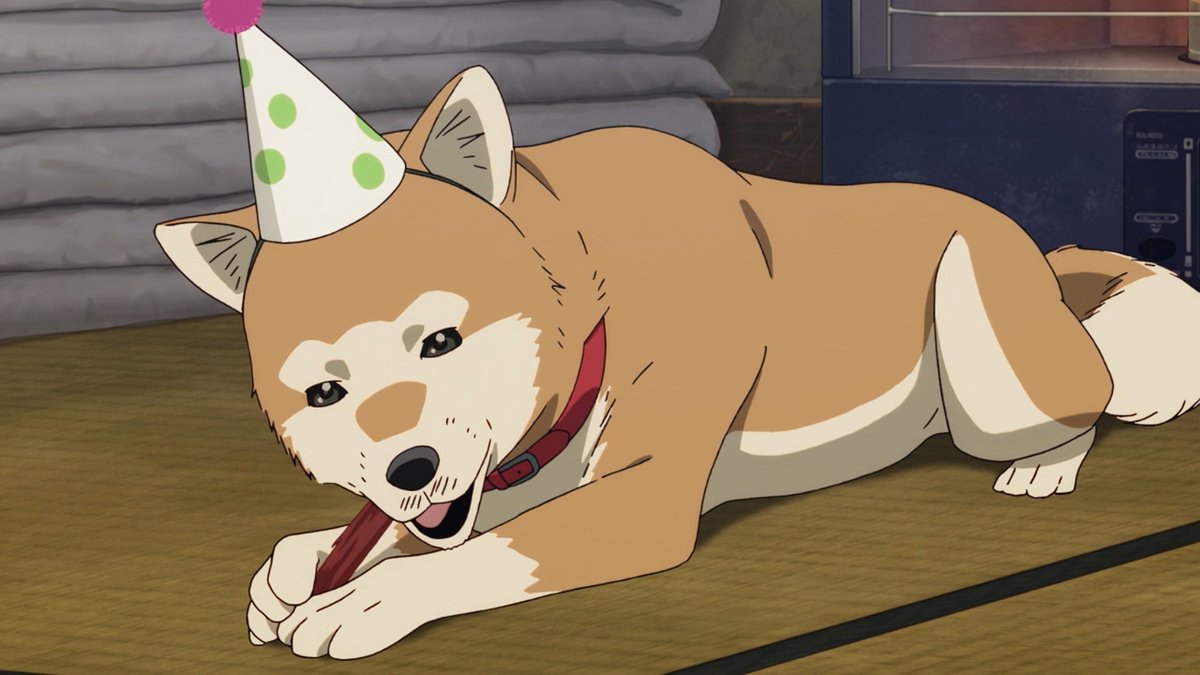 NiraLovesU's tweet photo. mewry cwristmas and happy treatos! 🍬🐕 https://t.co/FZLTbxxC7S