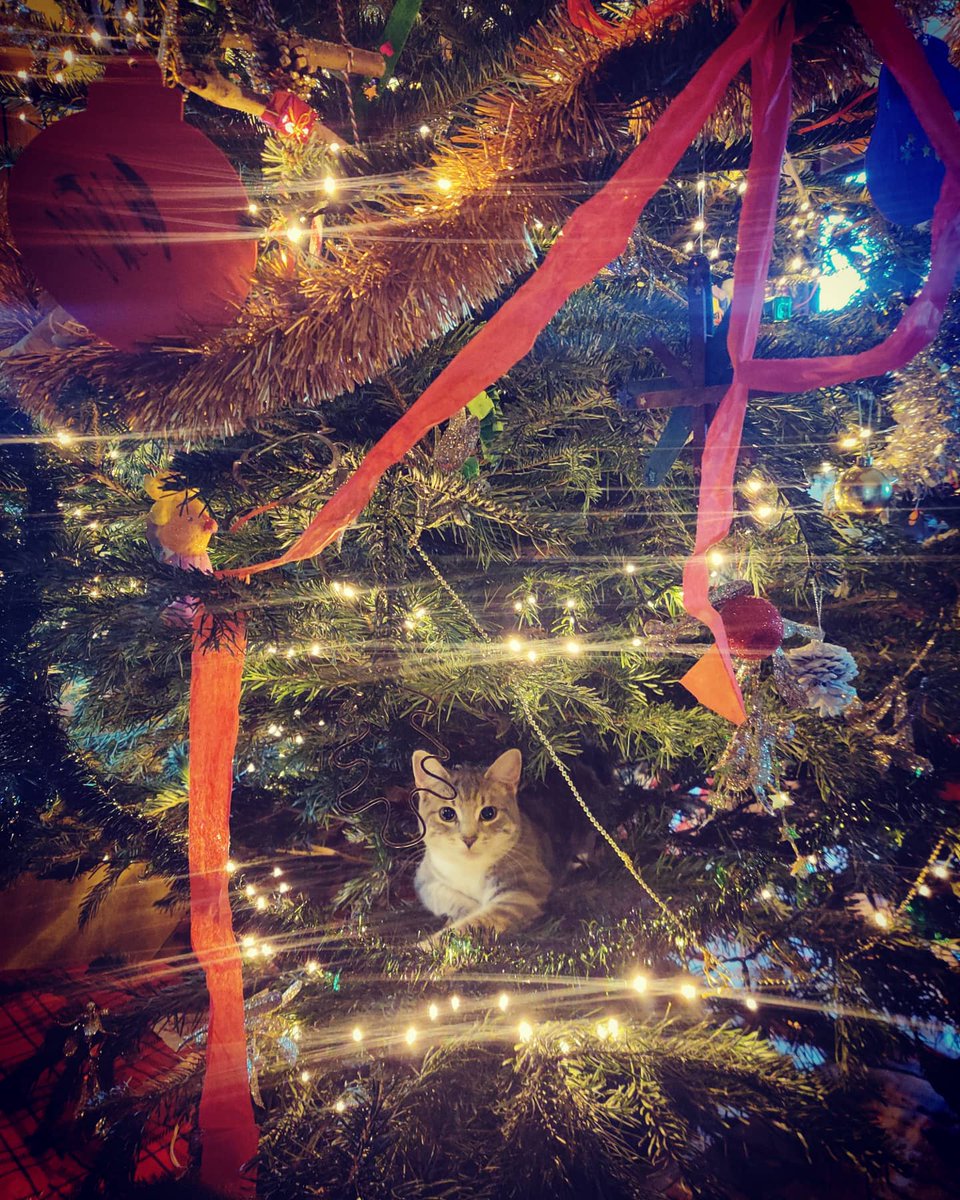 Bex Simon tweet media