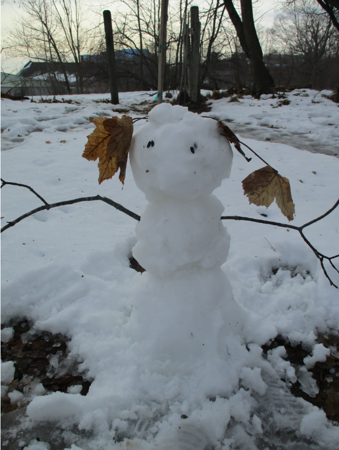 KittyJFire's tweet photo. I made a snowman. His name is George. George loves you and says Merry Christmas https://t.co/QTOqlNz3Cu
