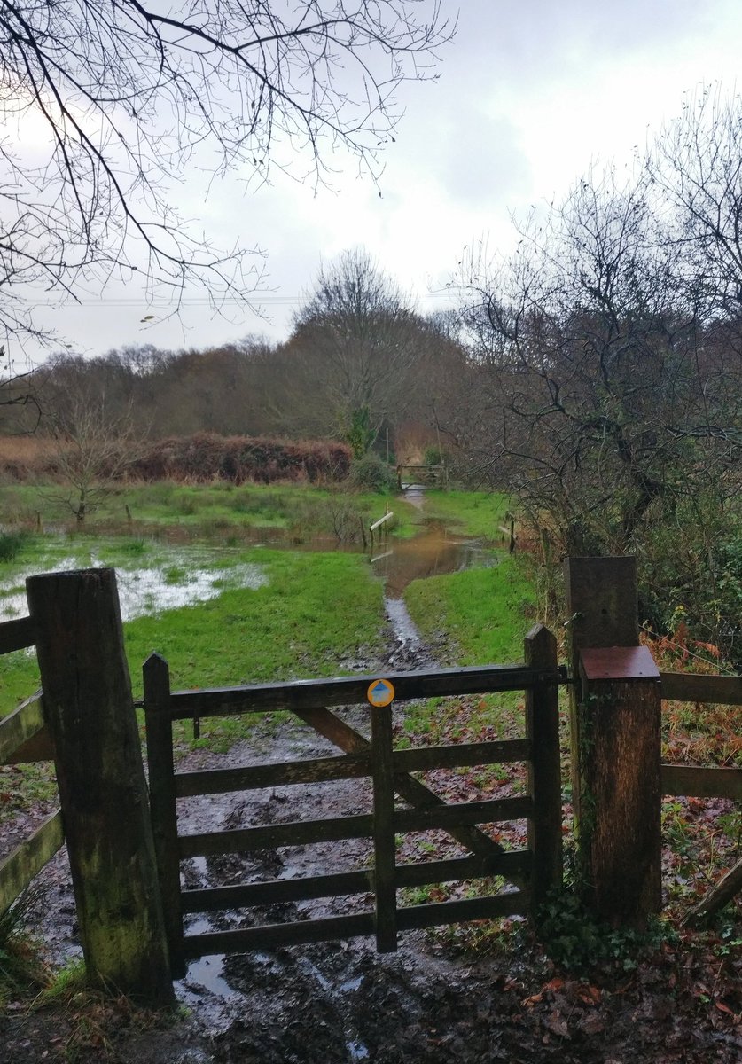 Merry Weird Christmas and a Happy Hopeful New Year