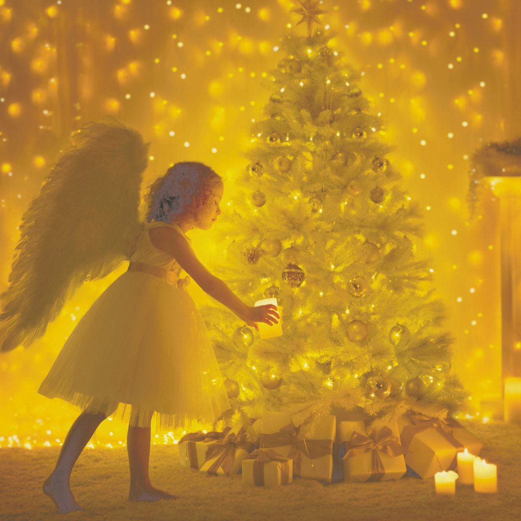 Mon Faire Part tweet media