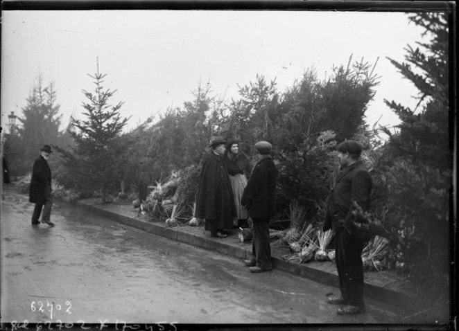 Selling Christmas trees in France in 1925.