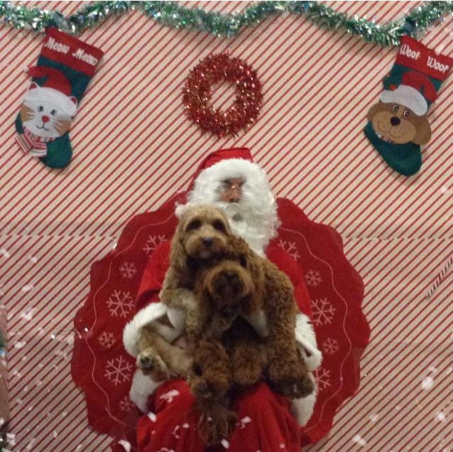Wishing you a healthy and happy holiday season. ❤️ 

Merry Christmas from my family to yours! 🎄 🎅 

#Throwback photo of Winnie and Lola with Santa.