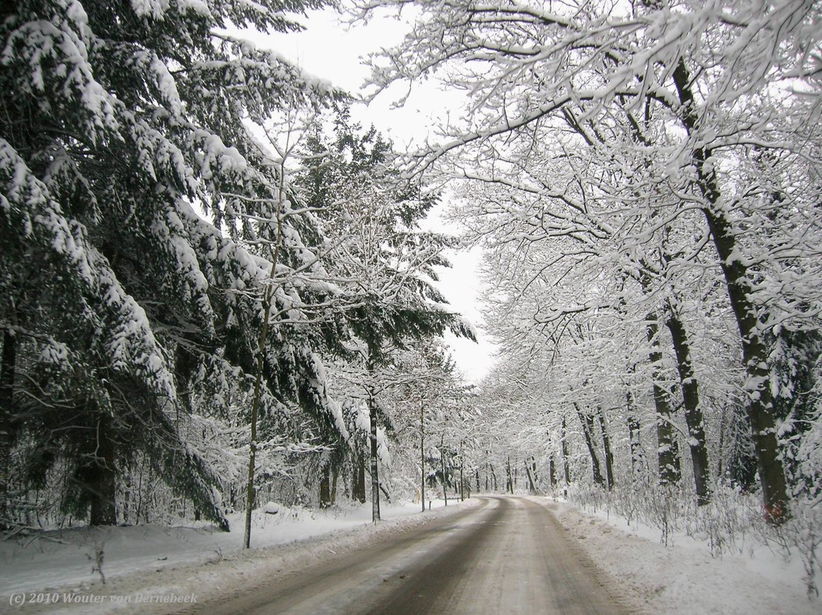 StormchaserNL's tweet photo. 🎄 Ik wens iedereen mooie feestdagen toe! Hierbij enkele plaatjes van exact tien jaar geleden; de witte #kerst van 2010 bij Nijmegen! https://t.co/Lm5UvO3SNX