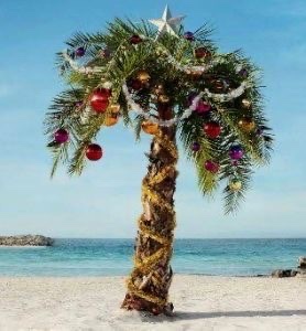 RccCard's tweet photo. Happy and Safe Holidays! https://t.co/FEaK4nFOZq https://t.co/TYL1tVDhFJ