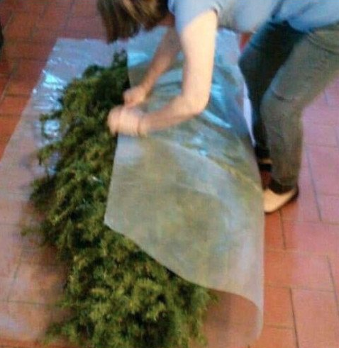 piña sin pizza tweet media