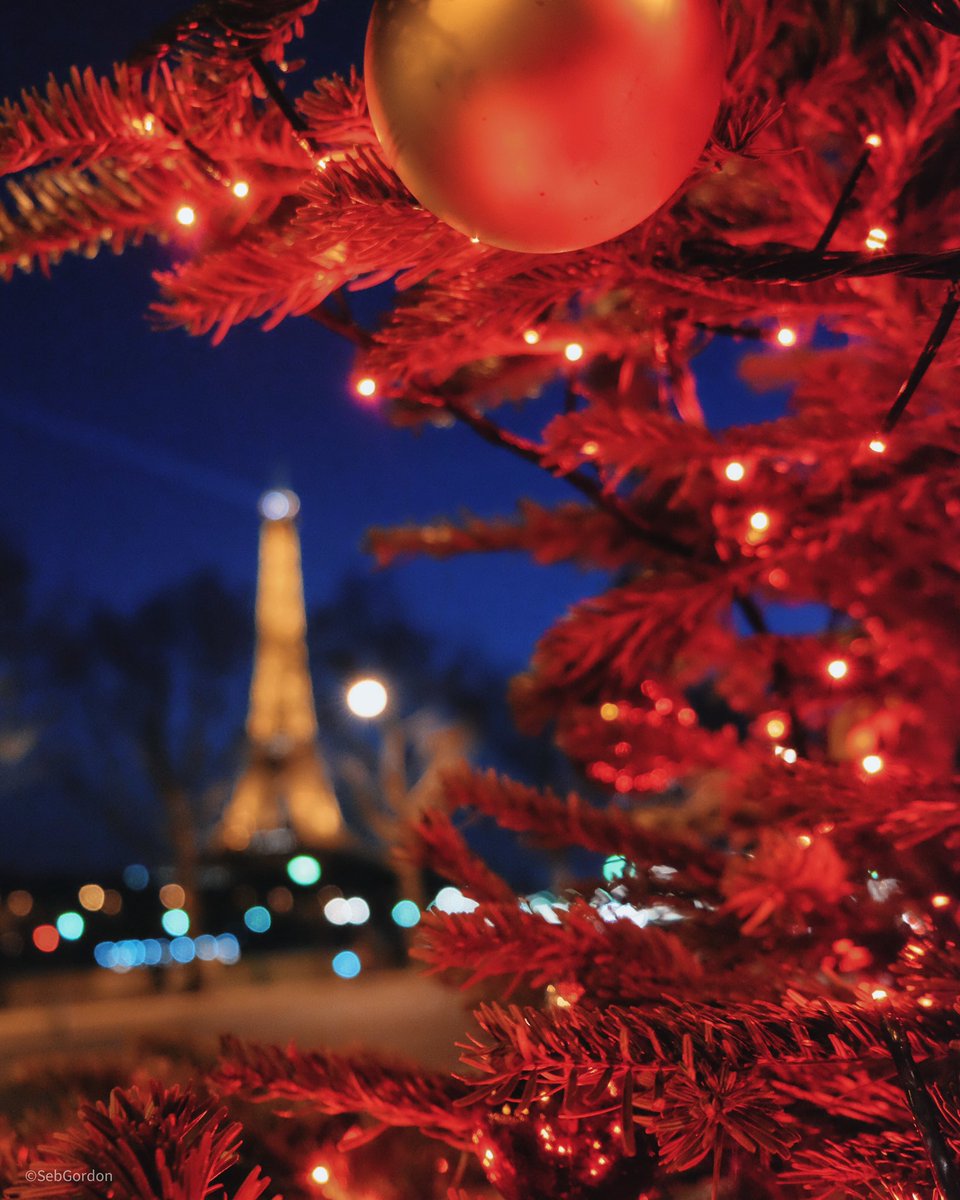 seb_gordon's tweet image. Merry Christmas🎄✨
#paris #xmas2020 #eiffelofficielle #eiffeltower