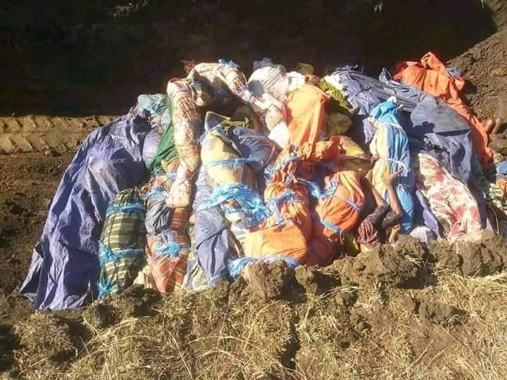 cdessalegn's tweet photo. This is how victims of #AmharaGenocide in Metekel were given an indecent burial. Although government figures are under-reporting the fatality, eyewitnesses estimate a death toll of above 260.
@hrw
@amnesty
@AmnestyEARO
@ReutersAfrica
@BBCAfrica
@nytimes
@washingtonpost https://t.co/BiOcuGIAka