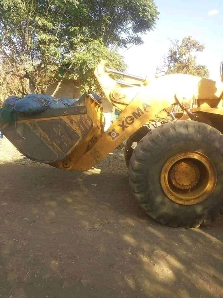 cdessalegn's tweet photo. This is how victims of #AmharaGenocide in Metekel were given an indecent burial. Although government figures are under-reporting the fatality, eyewitnesses estimate a death toll of above 260.
@hrw
@amnesty
@AmnestyEARO
@ReutersAfrica
@BBCAfrica
@nytimes
@washingtonpost https://t.co/BiOcuGIAka
