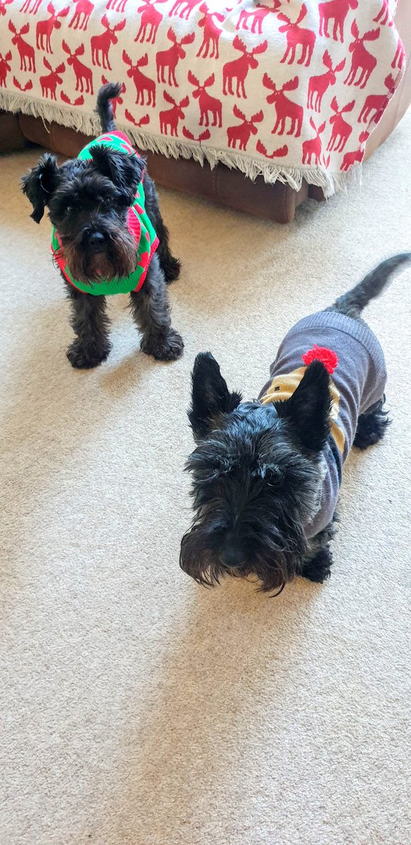 Faces say it all!
#ChristmasJumpers