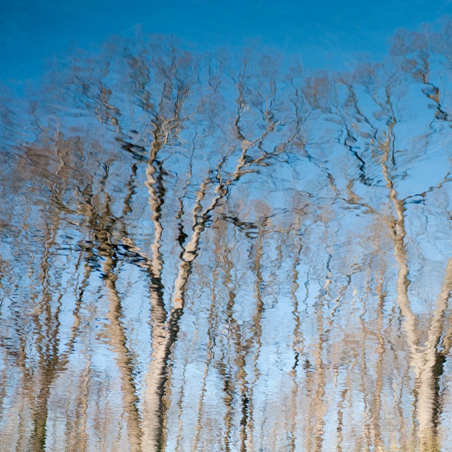 Newsletter: Kaleidoscopic Music ft. <a href="/rob_mazurek/">Rob Mazurek</a> and @tyondai; <a href="/MaeveGilchrist/">苏州外围/苏州资源/苏州上门/苏州约炮/苏州兼职/苏州楼凤/苏州母狗</a>'s Celtic harp; <a href="/petewyer/">Pete M. Wyer</a>'s latest immersive work at <a href="/NYBG/">New York Botanical Garden</a>; the week in new music. Plus, Gig Alerts: mailchi.mp/newsounds.org/… (Subscribe: bit.ly/32FcOna) Merry Krampus and Happy Holidays!