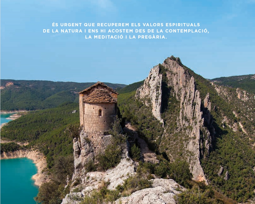 Dialogal tweet media