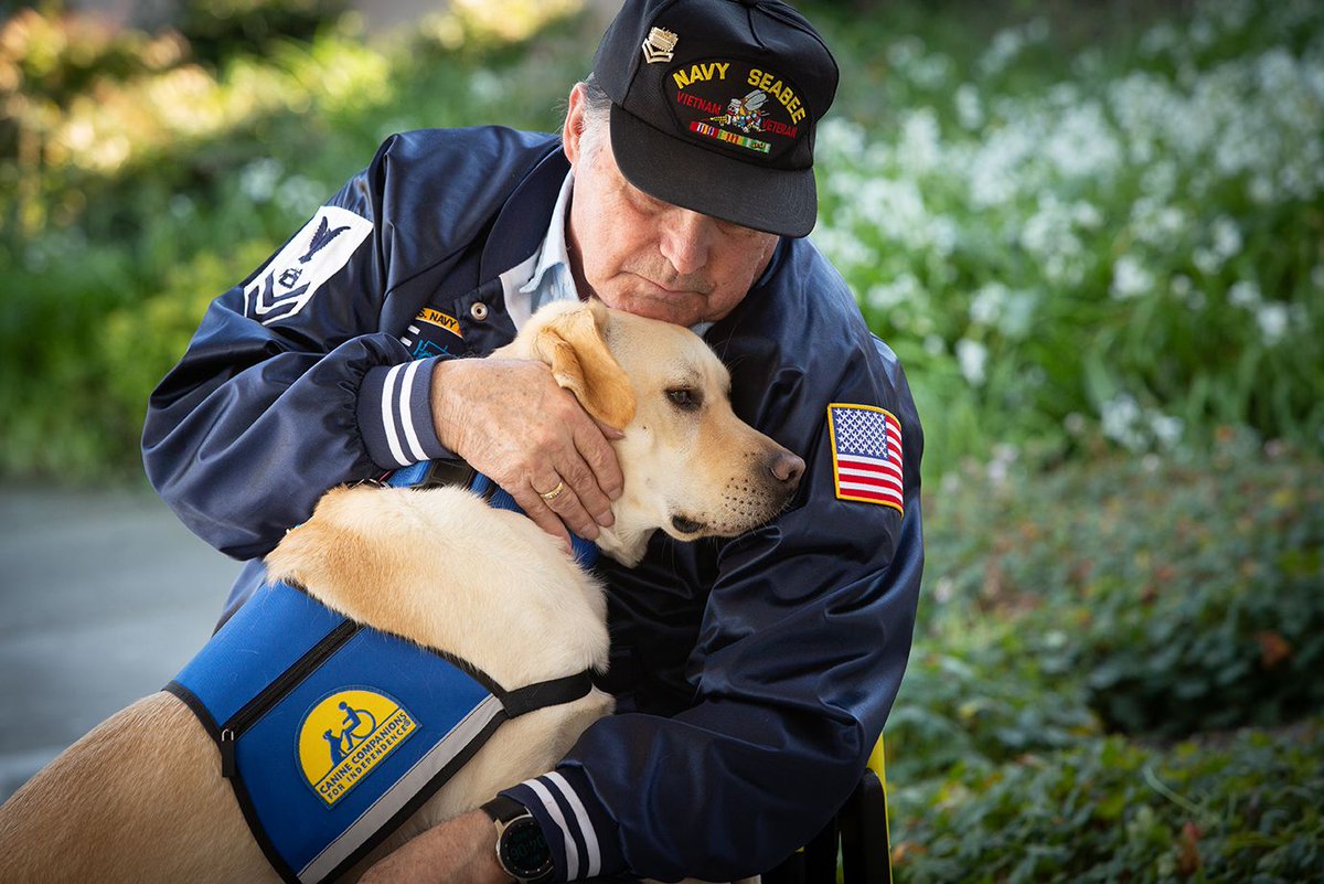 canineorg's tweet image. Earlier this year, Navy veteran Ron Lebda was matched with Service Dog Holiday free of charge. Ron has been celebrating "holidays" every day since. #happyholidays