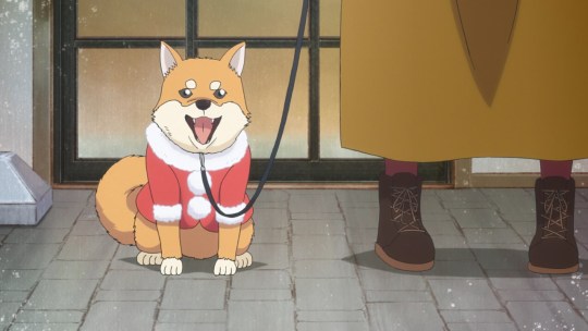 AnimeDogofDay's tweet photo. Today's anime dog of the day is:

This Christmas Pup from If My Favorite Pop Idol Made It to the Budokan, I Would Die (2020) https://t.co/wUpHS8warU
