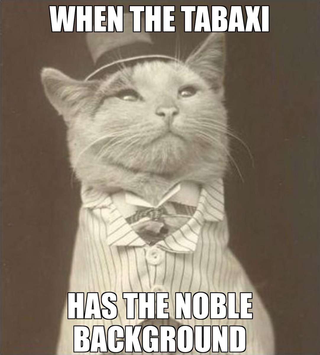 DND Memes on Twitter: "The aristocat 🧙🏻‍♂️⚔️🤓 #dnd #gamenight  #dndcharacter #fantasy #d20 #meme #barbarian… "