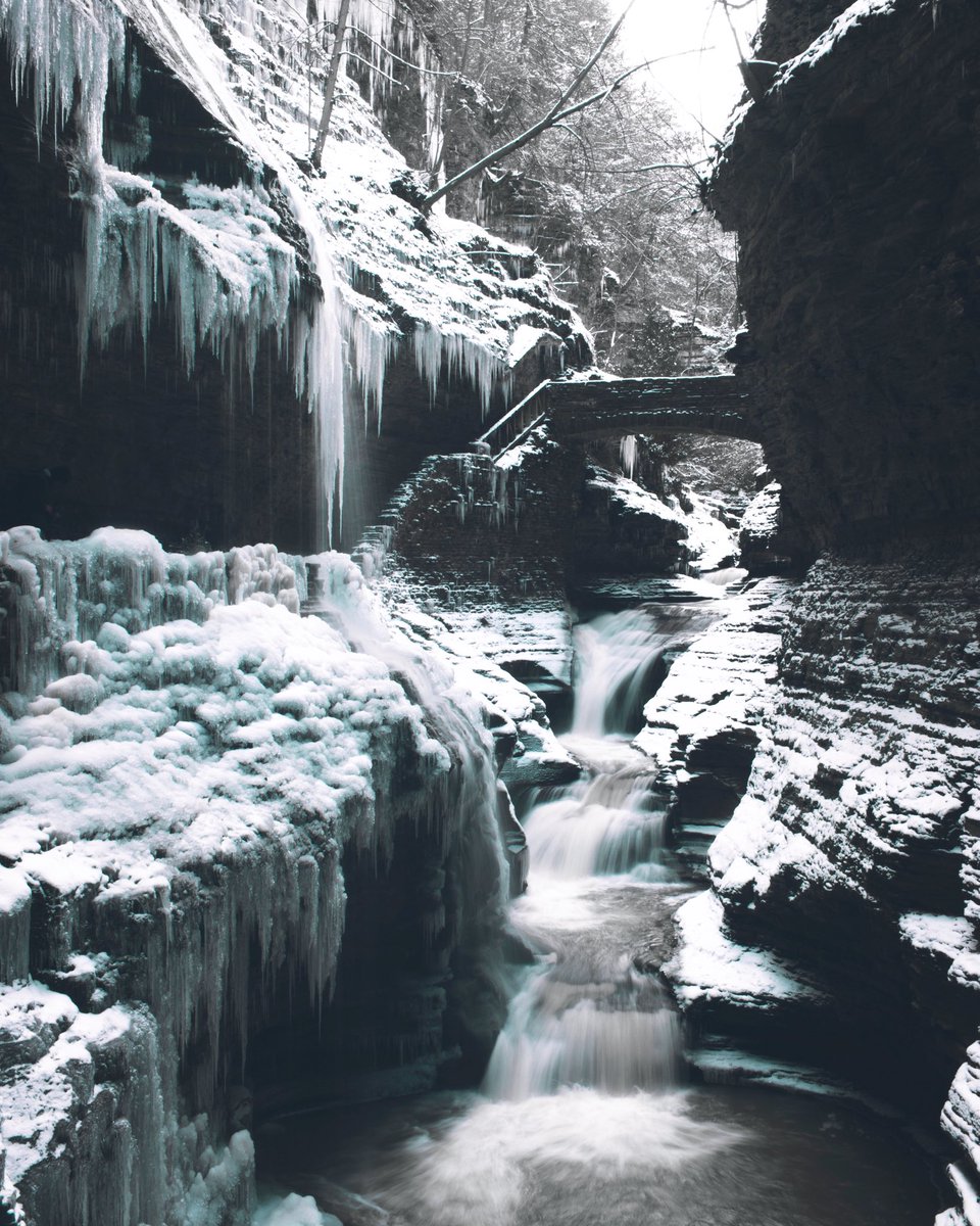 ncsweet_'s tweet photo. Just had to have emergency dental surgery and it costed over a grand that I was not expecting to pay especially with no freelance gigs the past few months 😭 So I’m doing a film print sale to raise some funds: Prints are 8x10” and $30 each or 2/$50. Every RT and sale helps🥺❤️ https://t.co/60O1kwF6wT