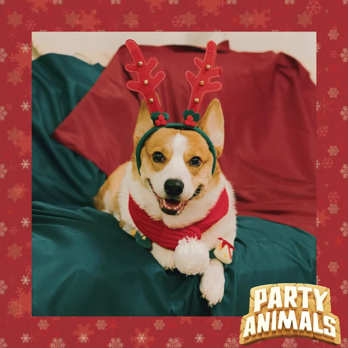 Image from Party Animals (@party_animals)