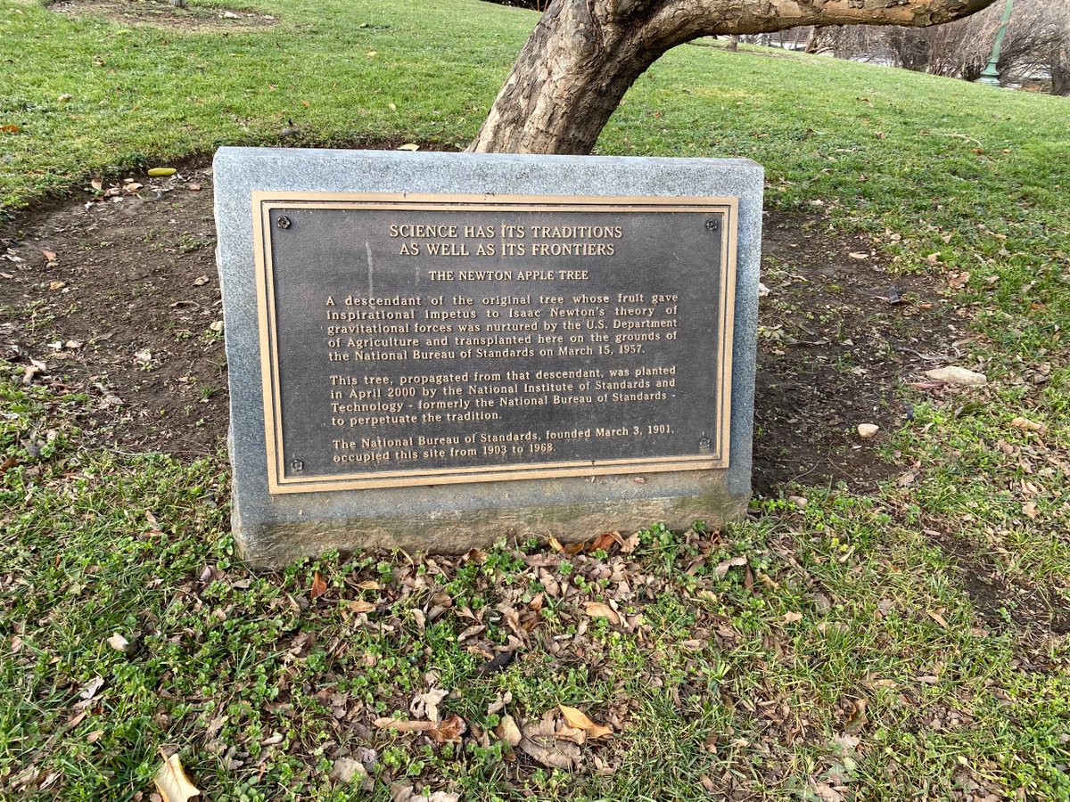 iamevltwin's tweet photo. Up a hill to a park that holds a clone of Newton's apple tree. This one is for @grumpy4n6! ����🤓 It's right next to the Chinese Embassy. (Exact moment a blister broke!😫)
https://t.co/ItwORb7Wcw
#Marathon4codebreakers
#DFIRFit https://t.co/JVriPLRkR7
