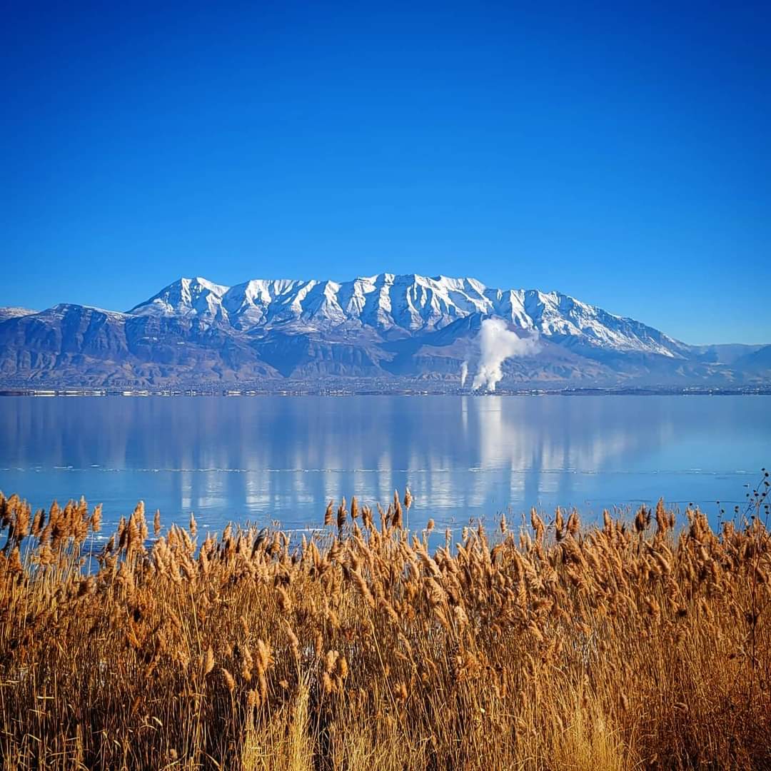 TheAvgJoeRun's tweet photo. Beautiful winter run on Christmas Eve!

#merrychristmas #christmasrun #utahlake #couplerun #running #runner #runnersofinstagram #instarunners #saratogalife #lifesjustbetterhere #lovemycity https://t.co/EHhnEsChqh