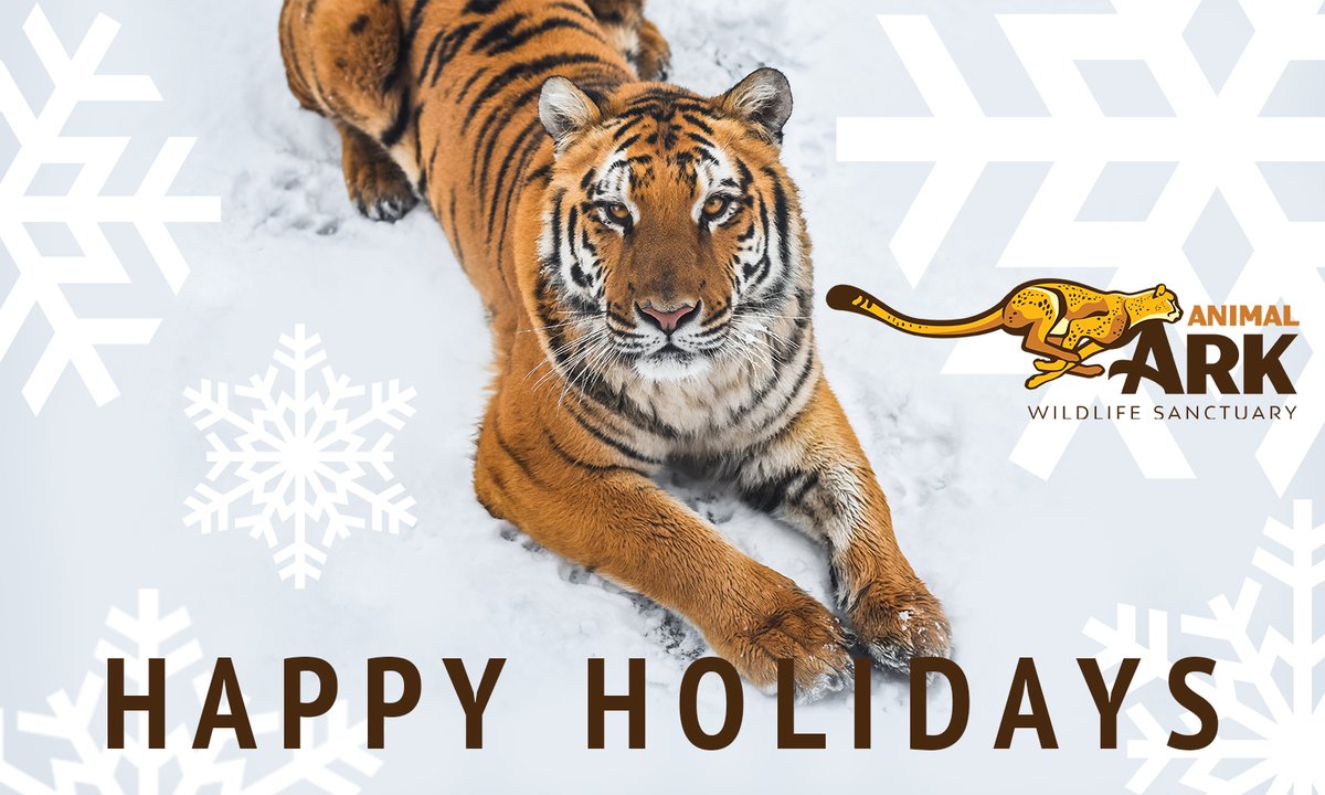 From our family to yours, Animal Ark wishes everyone a safe and happy holiday season! We are deeply appreciative of the generosity of the community and we look forward to another wonderful year of wildlife education and conservation.