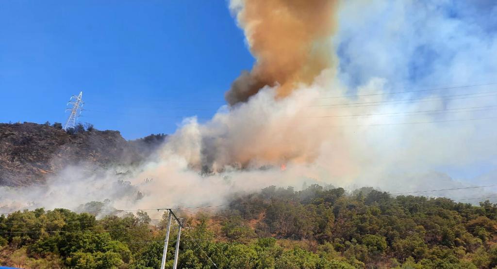 🔥EMERGENCIAS FORESTALES🔥🚁 tweet media