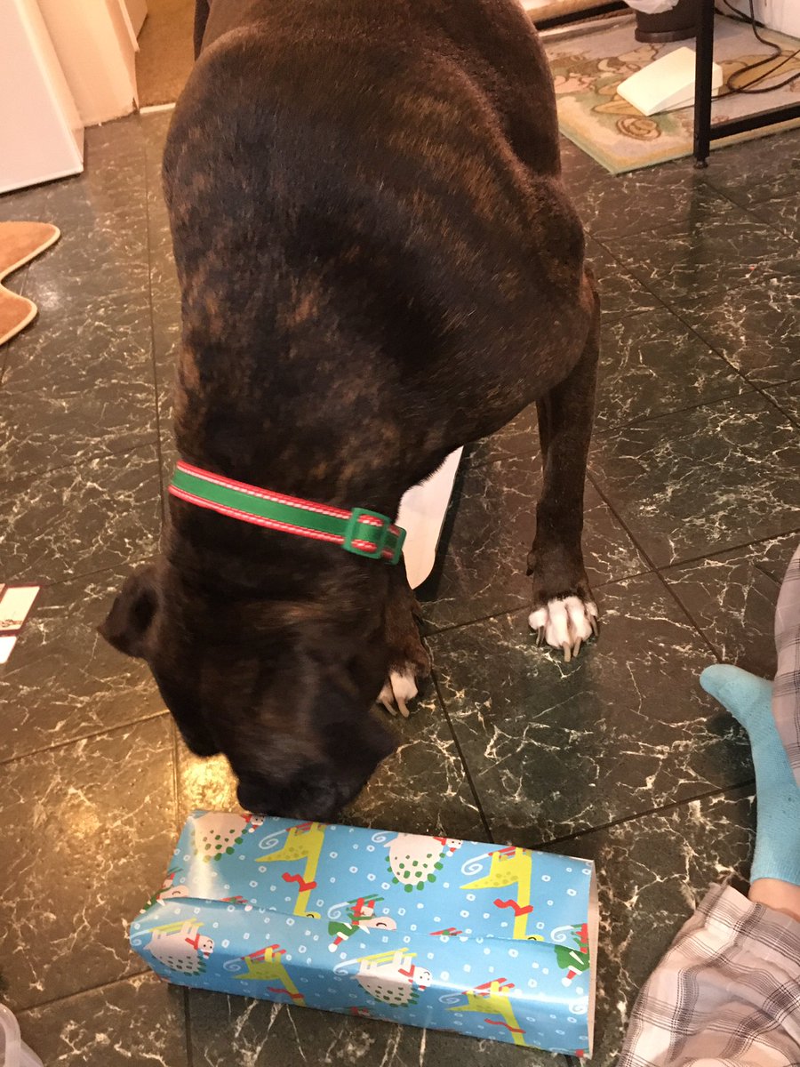AlanaAstra's tweet photo. I helped mom wrap the presents. https://t.co/ECrHz9ERXm