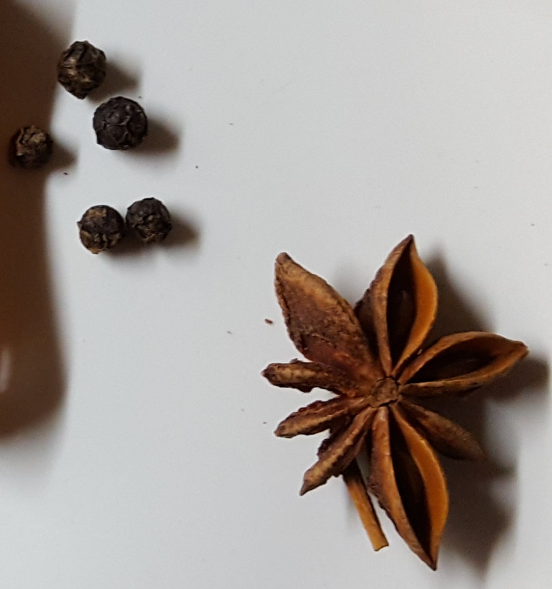 ... and they can be present in fruits, such as in black pepper (Piper nigrum) and star anise (Illicium verum). Actually, they can be present in multiple organs of the same plant!