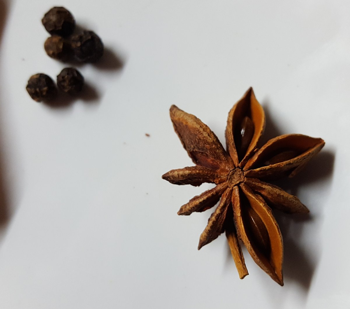 Are all these plants with ethereal oil cells closely related? Well, most of them are, except Star anise. Illicium is a distant relative of most angiosperms, being part of the Austrobaileyales, the closest cousins to most of the rest of the angiosperms!