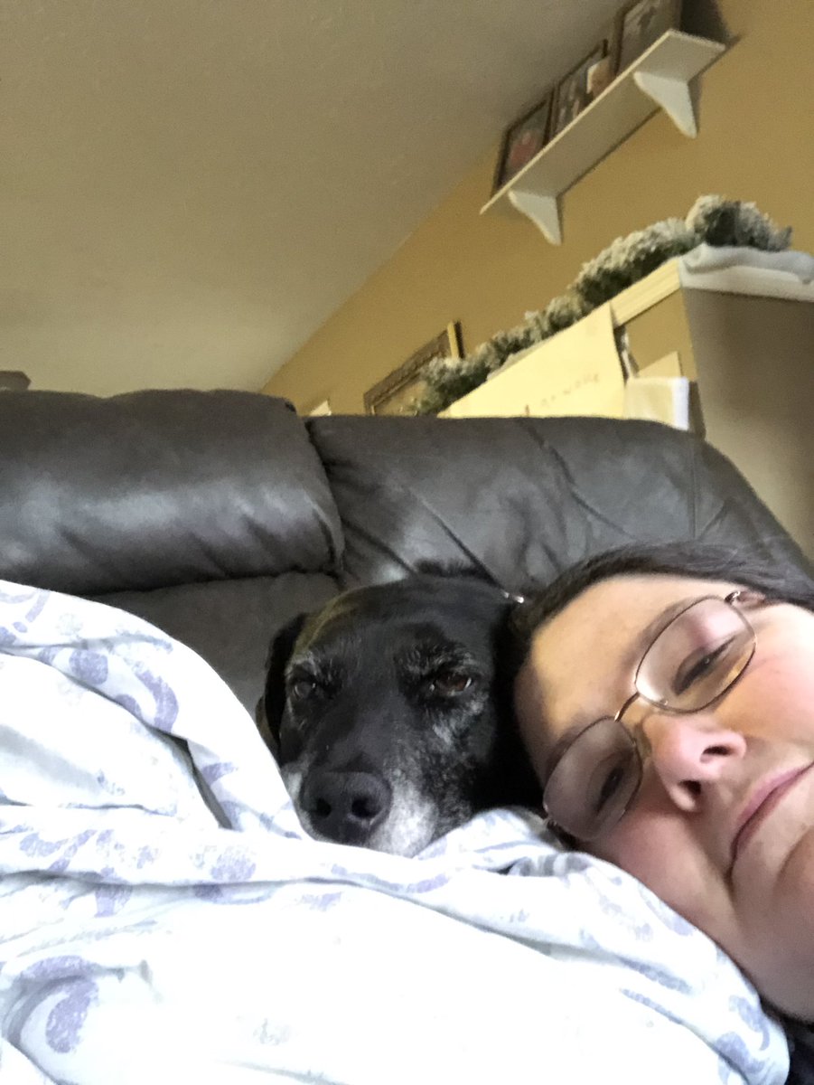 Stephanie tweet media