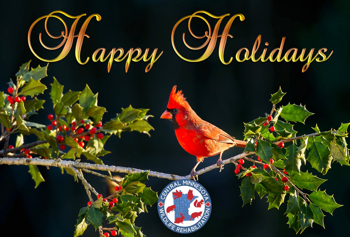 CtrlMNWildlife's tweet photo. Happy Holidays to all of you from Central Minnesota Wildlife Rehabilitation! https://t.co/7oE9DALw04