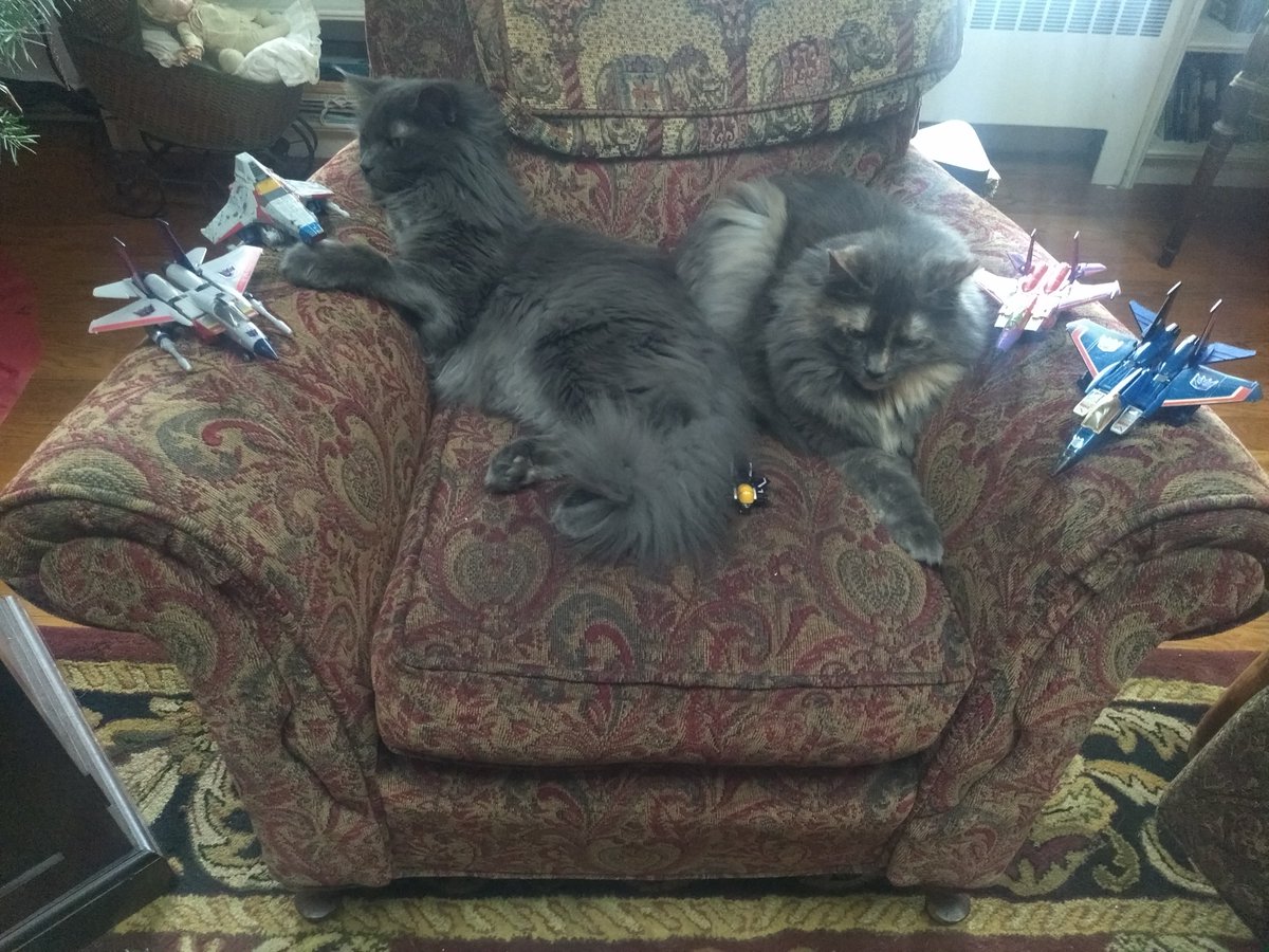 Also, seeker family portrait