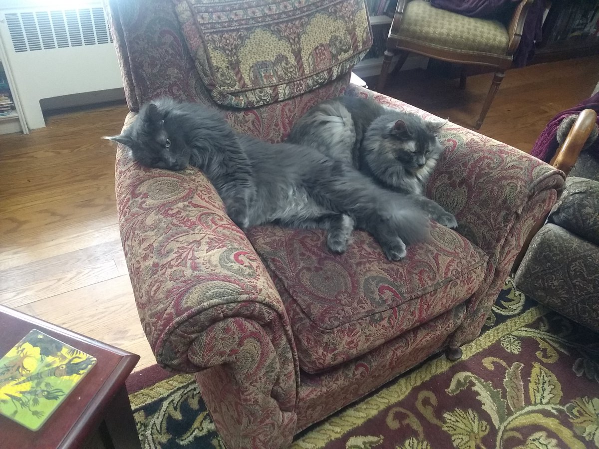 Also, seeker family portrait