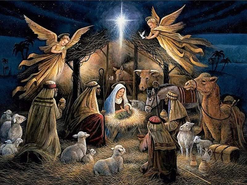 KK_SuniL_'s tweet photo. #MerryChristmas2020 https://t.co/DiyAEnyxVd