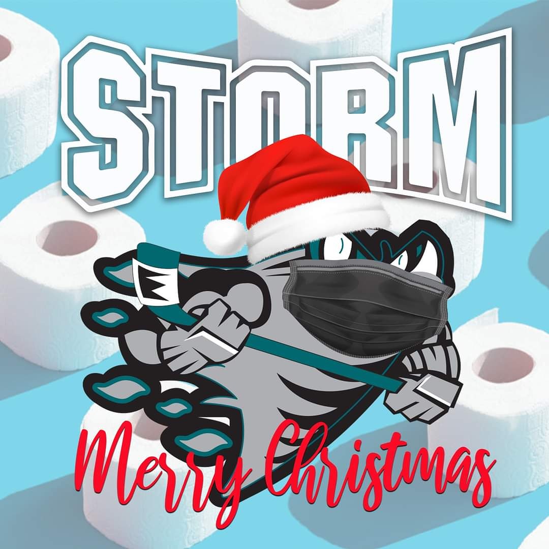 Merry Christmas Storm Families! Wishing you a happy and healthy holiday season! Hope to see you all back at the rink soon!