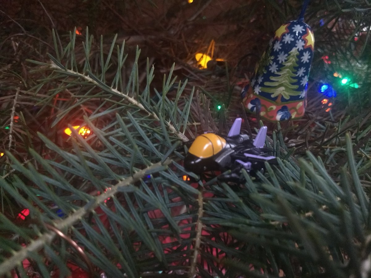 Also, seeker family portrait