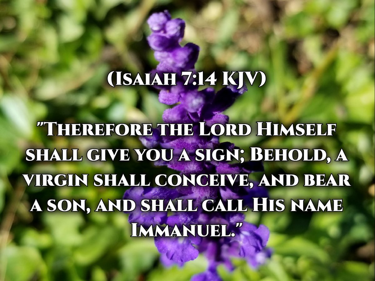 kd8nsa's tweet photo. #InspiredDailyVerses.#GodsWord.#BIBLE.#Ramadan.#Islam.#Allah.#Muslim.#MessageMeForSpiritualHelp.#ChristFollower.#TruthSpeaker.#Prayer.#WWJD.#MakeGodFirst.#KeepGodFirst.#OurPickaway.#OurCircleville.#LifeIsShort.#TodayWillSoonBeGone.#CV19.#Coronavirus.#Covid_19.#Covid-19.#Eternity. https://t.co/2WFBlCHbJD