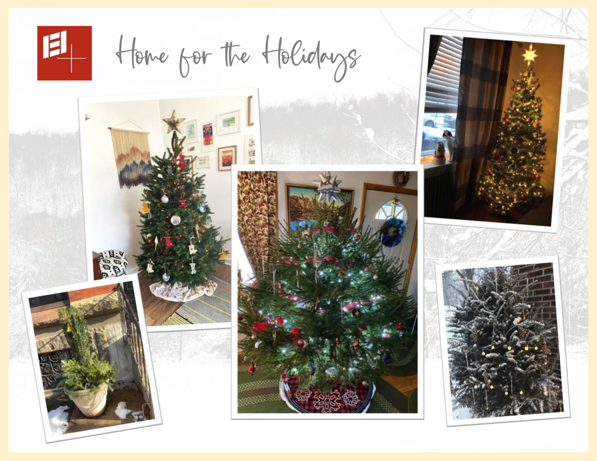 IEIGroup's tweet photo. Working from home, keeping things festive! Sharing how some of the IEI staff have decorated for the holidays 🎄✨
#festiveandfun #homefortheholidays https://t.co/ptnlkN6RiU