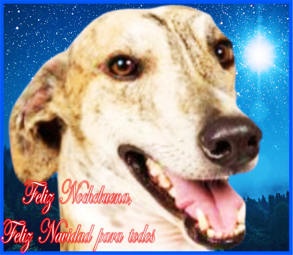 GyoGsoy's tweet photo. FELIZ NOCHEBUENA, FELIZ NAVIDAD PARA TODOS https://t.co/uMSqKfCBxF