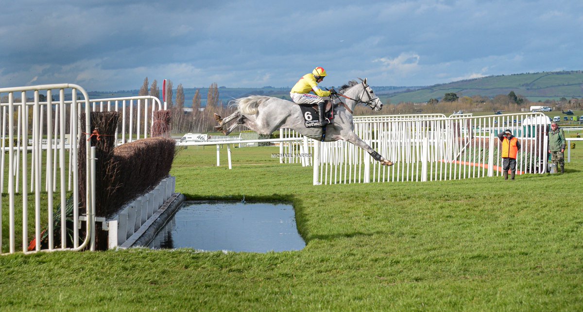 I think my best photo of 2020 was this one of Politologue jumping the water on the way to winning the CC. So satisfying for me. I really need to blog to tell you more about this photo then you would understand. I am giving away 2 copies. RT to enter. Winners announced Boxing Day.