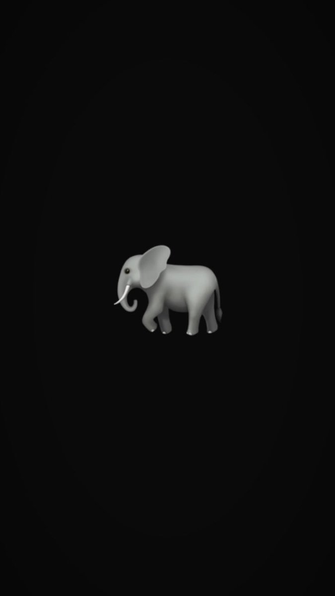 HeartBoyYC's tweet photo. Elephants Over ANTS https://t.co/6qpO3Gx28A