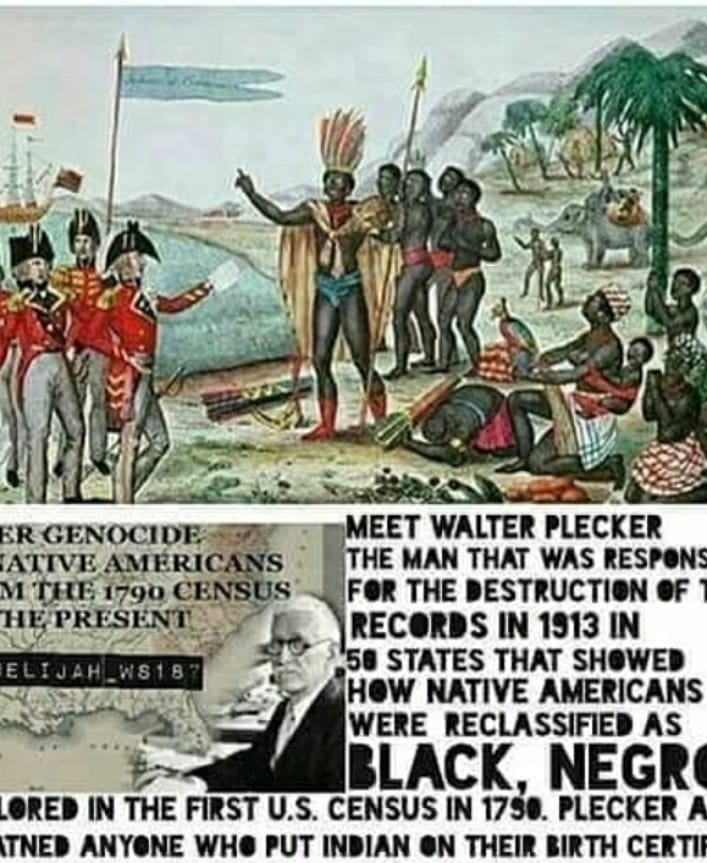 Moors in america