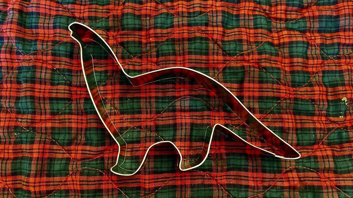 Yara_Haridy's tweet photo. Thickasaurus gingerbreadensis https://t.co/4Fko6ICUuU