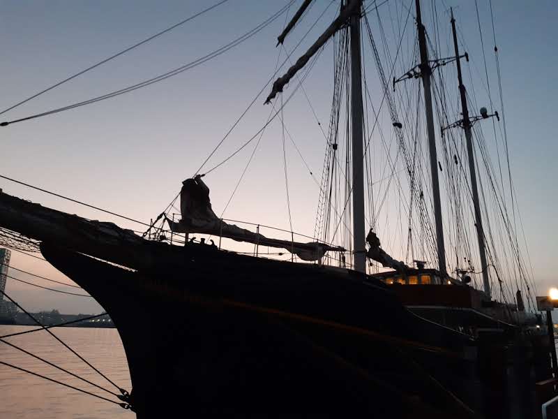 EcoClipper's tweet photo. You can go for a nice walk in Amsterdam where you can find the Gulden Leeuw moored.
https://t.co/F4mEeQOby4
#ecoclipper #sailing #schoolship https://t.co/5zVqnk8V1O