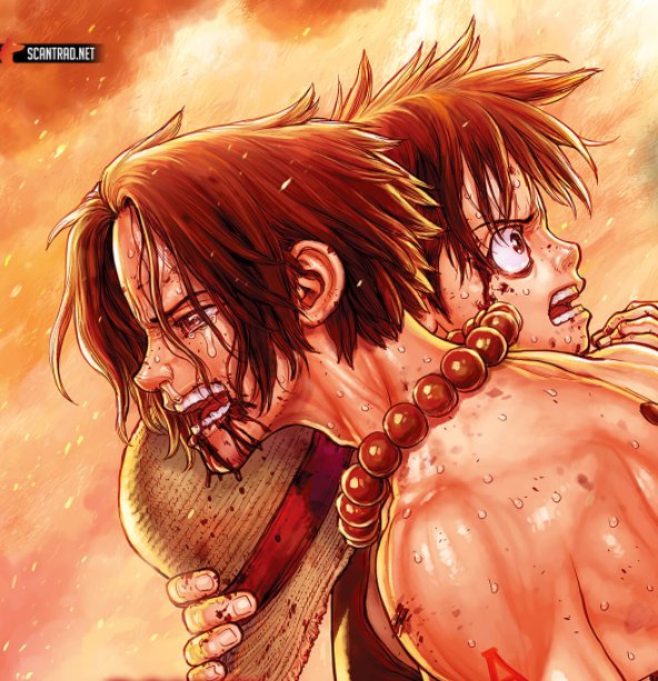 L'année 2019, Boichi redessine le fameux combat Zoro vs Mihawk dans l'arc du Baratie dans One piece sous forme de one-shot.Il adaptera également le roman de Ace (toujours dans one piece) en deux chapitres, tous deux réspectivement dans les "One piece magazine" 10 et 11.