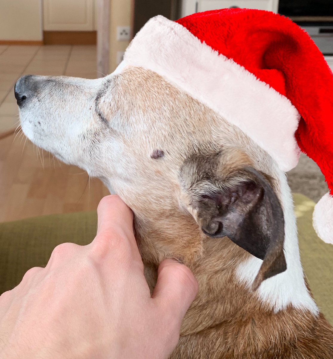 ville2fiddy's tweet photo. Hyvää joulua 🎅 https://t.co/G5XPuWSH03
