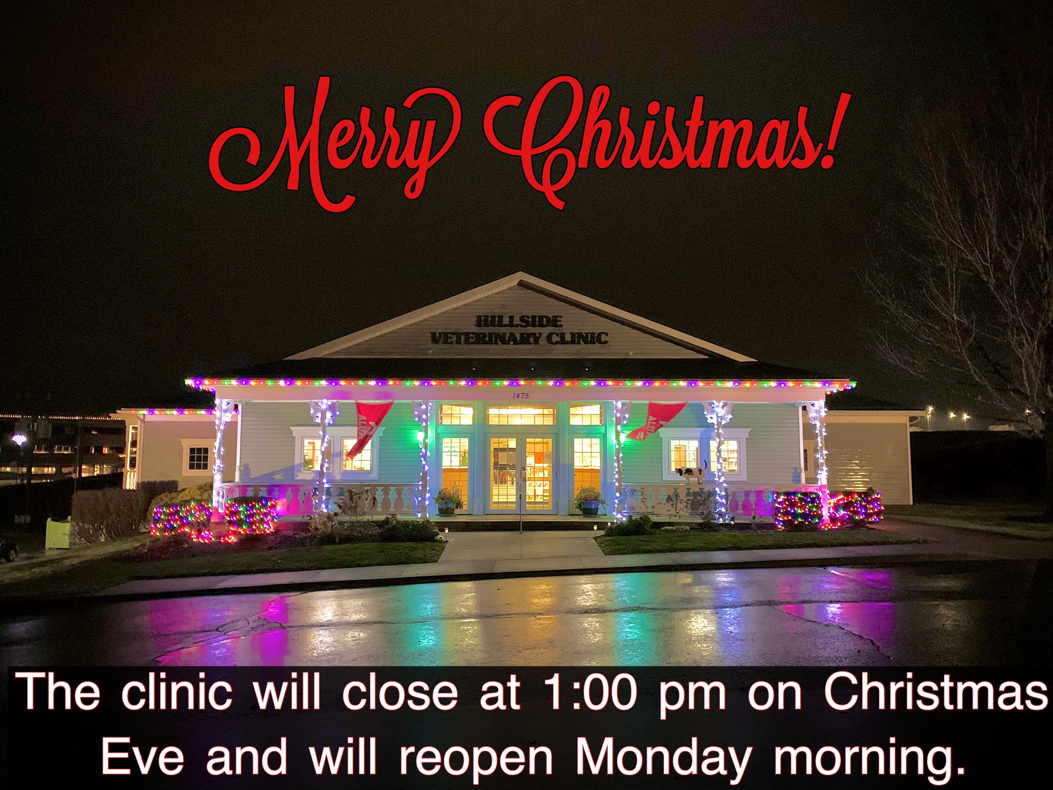 Hillside vet best sale clinic