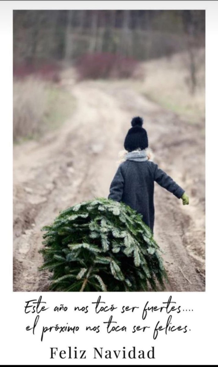 Lucía (@propensa_) on Twitter photo 