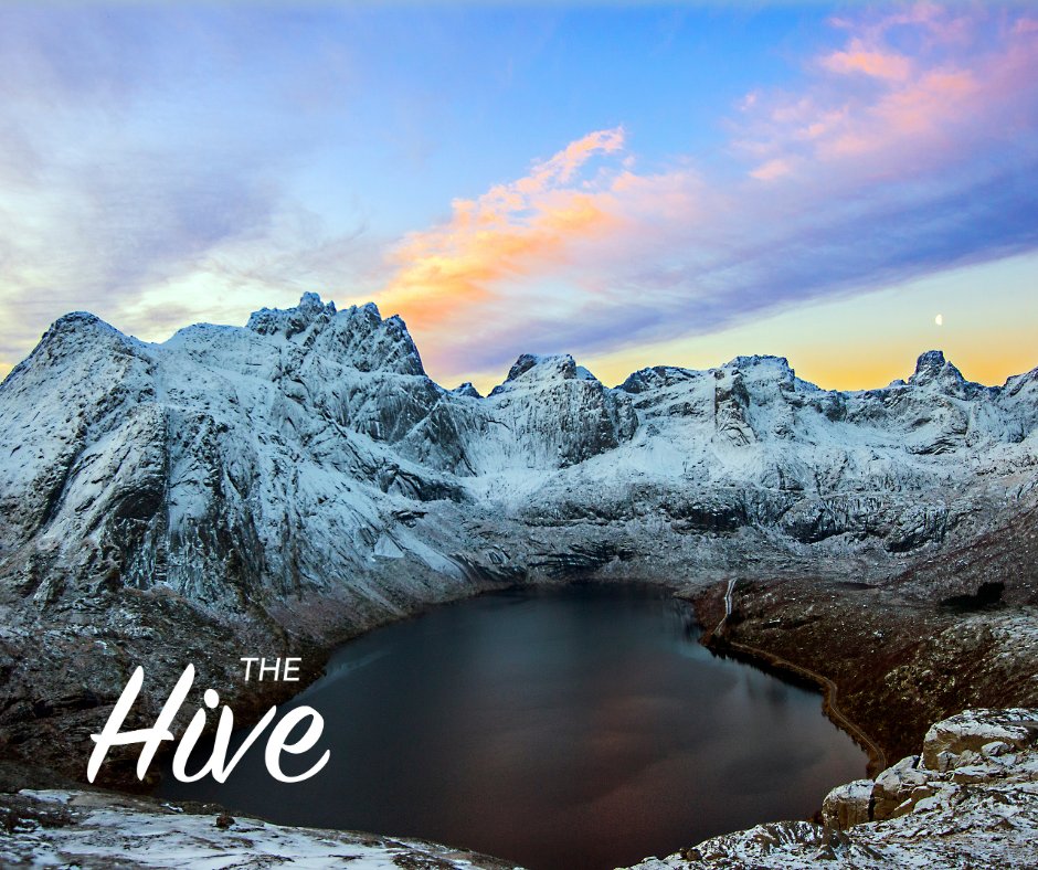 Troy Bronsink tweet media