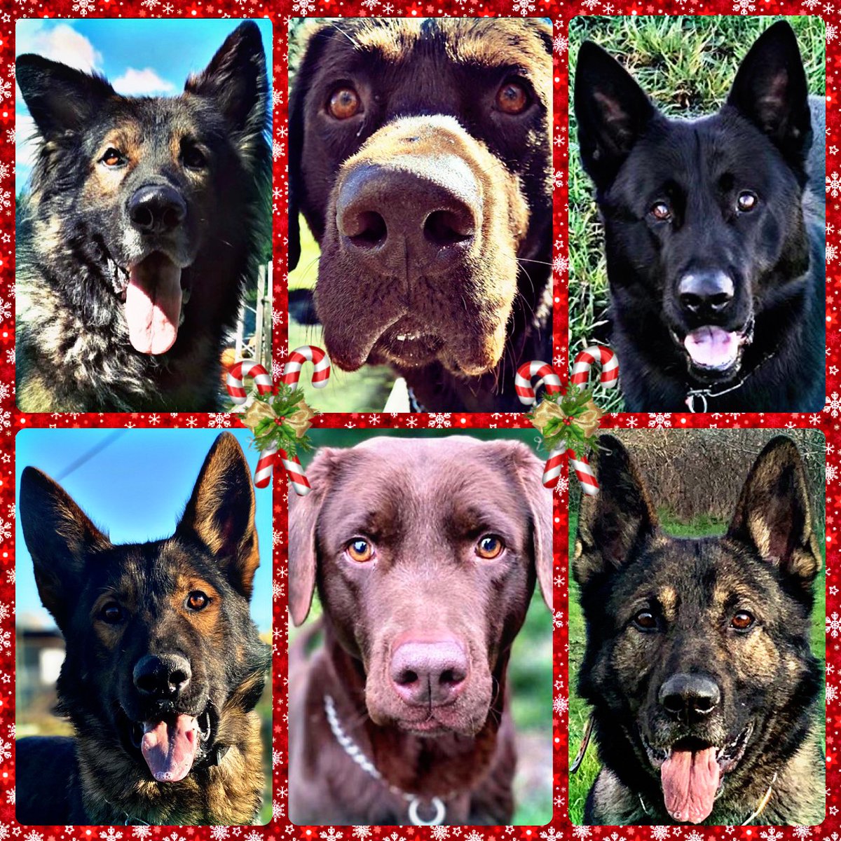 A very Merry Christmas and Happy Holidays from our unit!