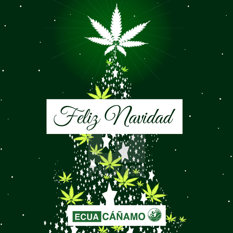 CanamoEcuador's tweet photo. Que la paz y el amor primen en sus hogares junto a sus familias esta Nochebuena. Son tiempos de reflexión con todos nuestros hermanos, recordamos a quienes hemos perdido y celebramos con quienes seguimos luchando.

#FelizNavidad #MerryChristmas https://t.co/eeCuFkko7L